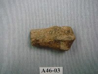 藏品(虎掌骨下端關節)的圖片